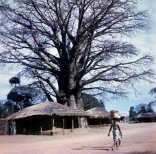 Малави. Традиционное поселение. Мозамбик.