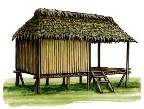 Тукуна. Традиционное жилище.